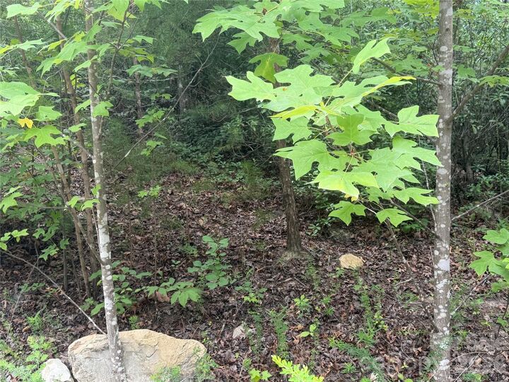 Property Photo:  6 Dobsons Knob Loop  NC 28752 