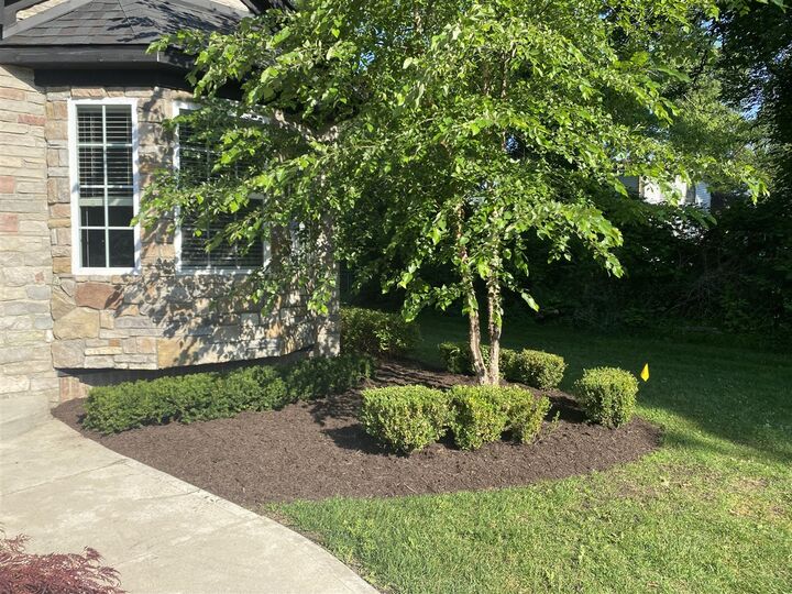 Property Photo:  9915 Wayne Road  MI 48150-2623 