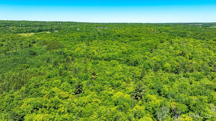 Property Photo:  Tbd 2 Forsman Road  MI 49930 