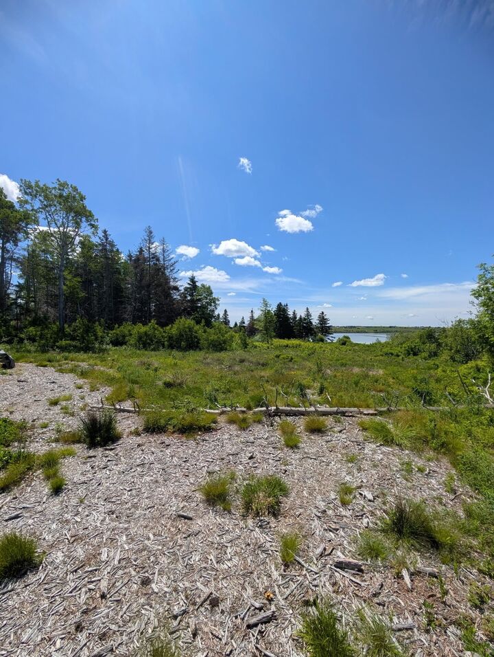 Lot 7 Sonora Road — photo 1