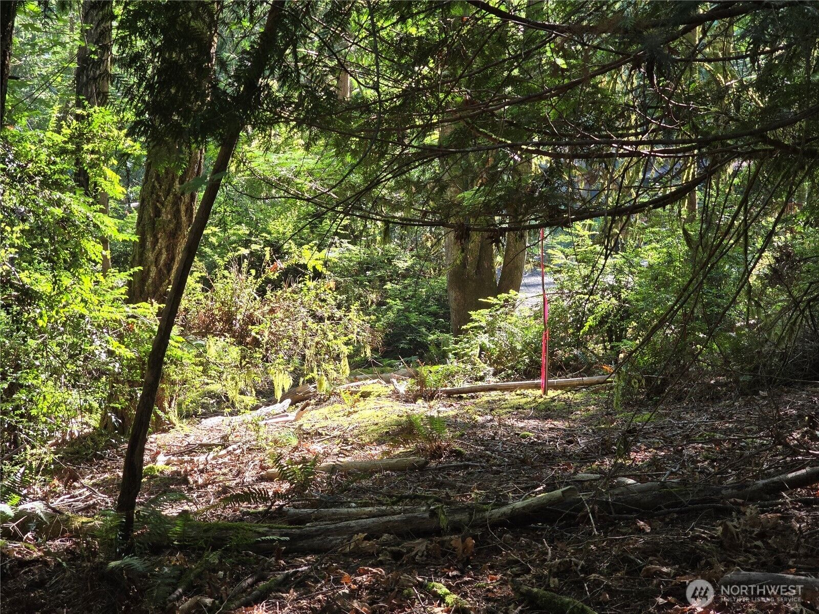 Property Photo:  655 E Pointes Drive E  WA 98584 