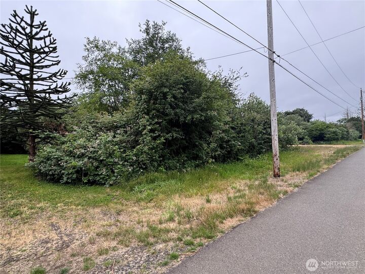 Property Photo:  0 Nka W Farrell Street  WA 98520 