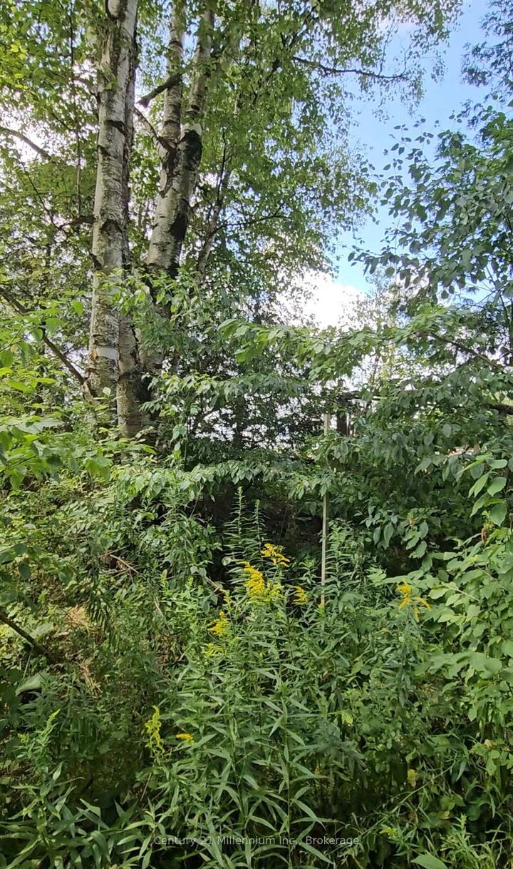 Property Photo:  612608 Sideroad 61 N/A  ON N0G 2A0 