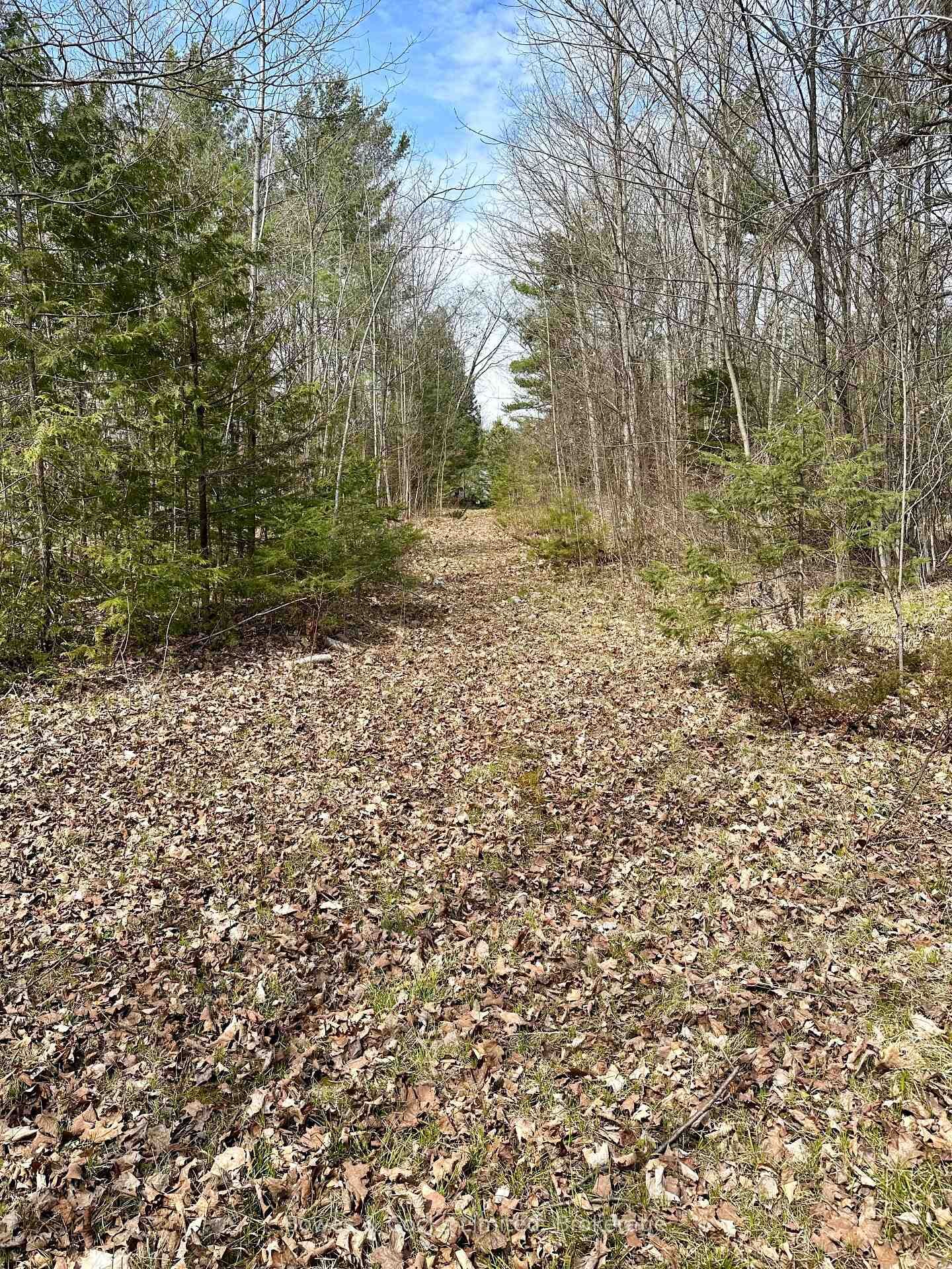 Property Photo: 2981 County Road 44 N/A ON K0L 1Z0
