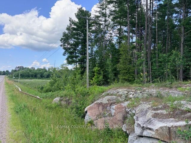 00 41 Highway — photo 1