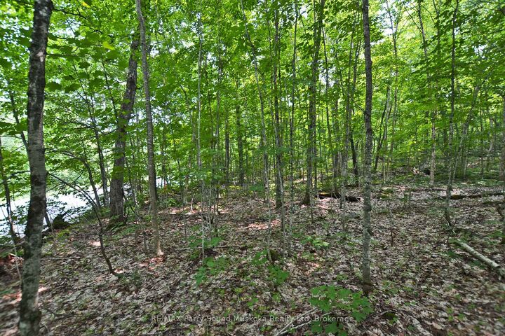 0 Lyndsey Lane Part 1 — photo 1
