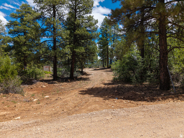 Property Photo: 295 S White Oak St 8A-D-2 UT 84758