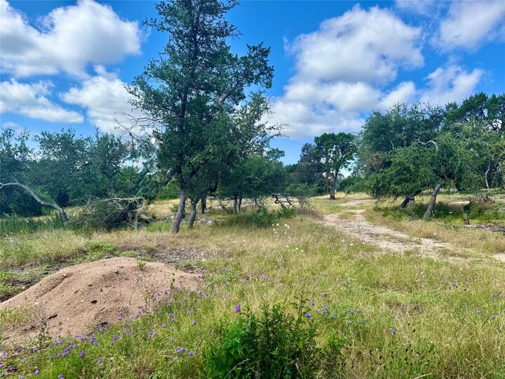 Property Photo:  242 Landons Way  TX 78633 