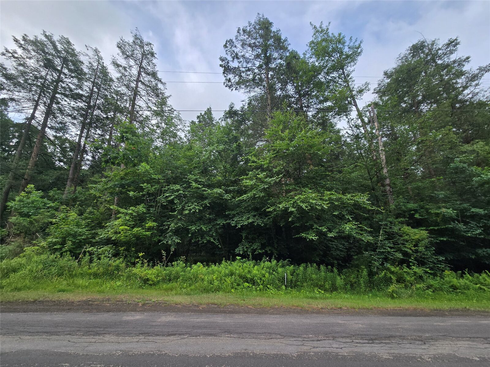 Property Photo:  143 Swift Road 4  NY 13905 