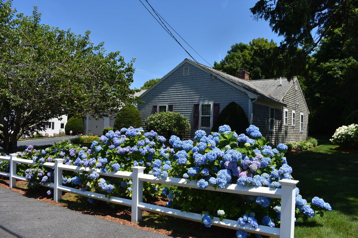 Property Photo:  34 Fisk Street  MA 02670 