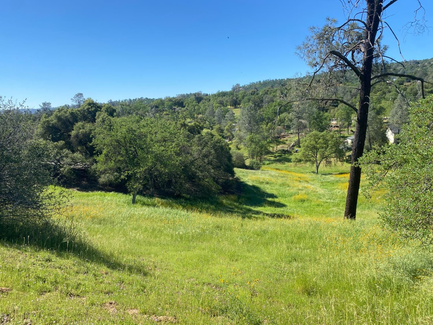 Property Photo: 17 Titan Way CA 93614
