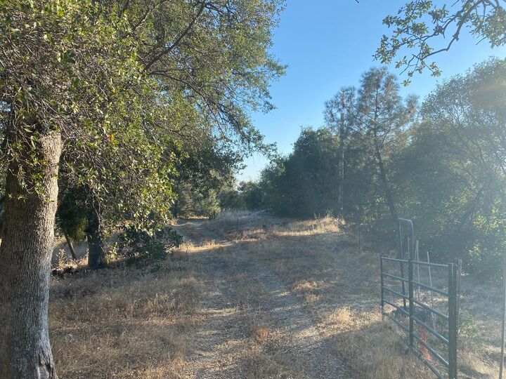 Property Photo: 53748 Dogwood Drive CA 93643