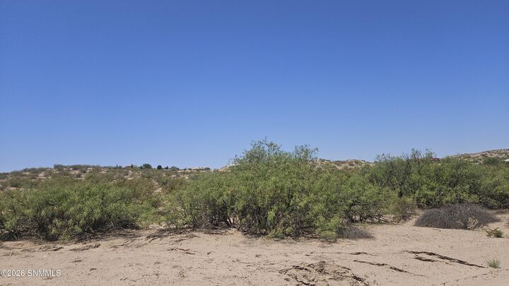 Property Photo:  2940 Mesilla Hills Drive  NM 88005 