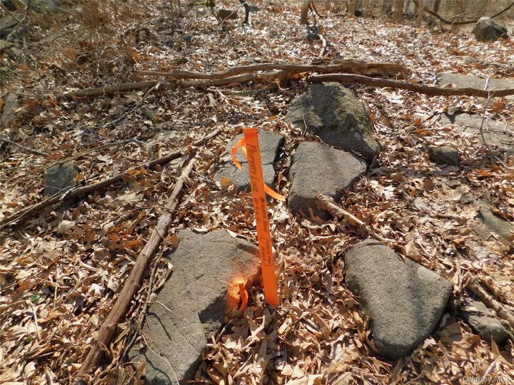 Property Photo: Lots 16 &Amp 19 Washington Street NY 10567