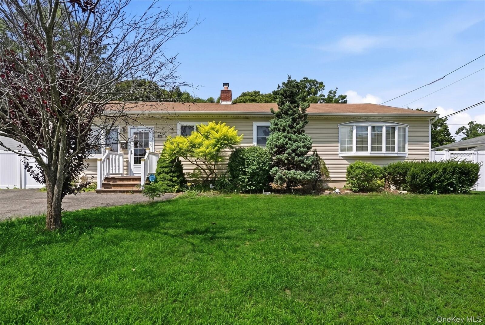 Property Photo:  74 Tree Road  NY 11720 