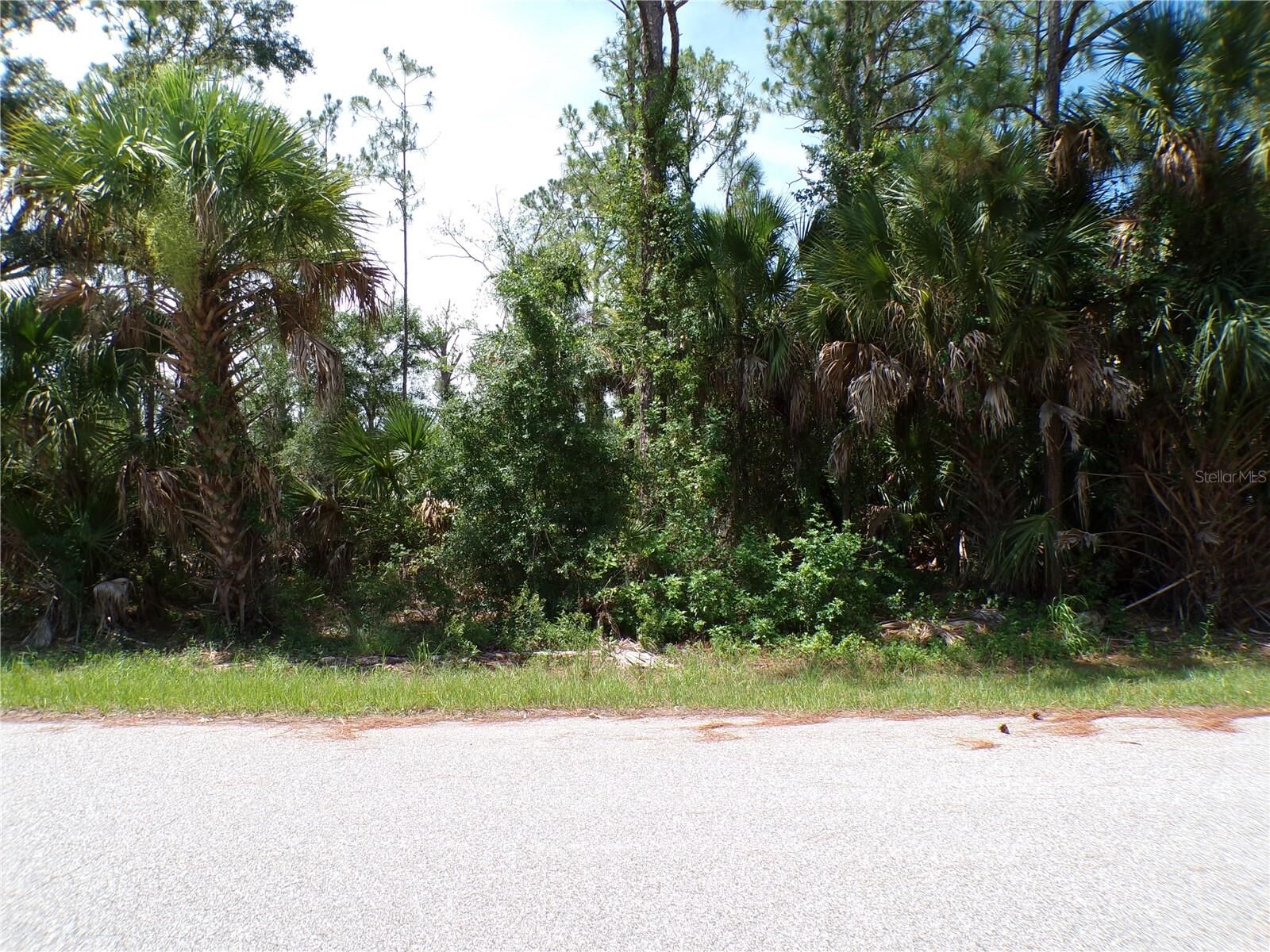 Property Photo:  Armenia Road  FL 34286 