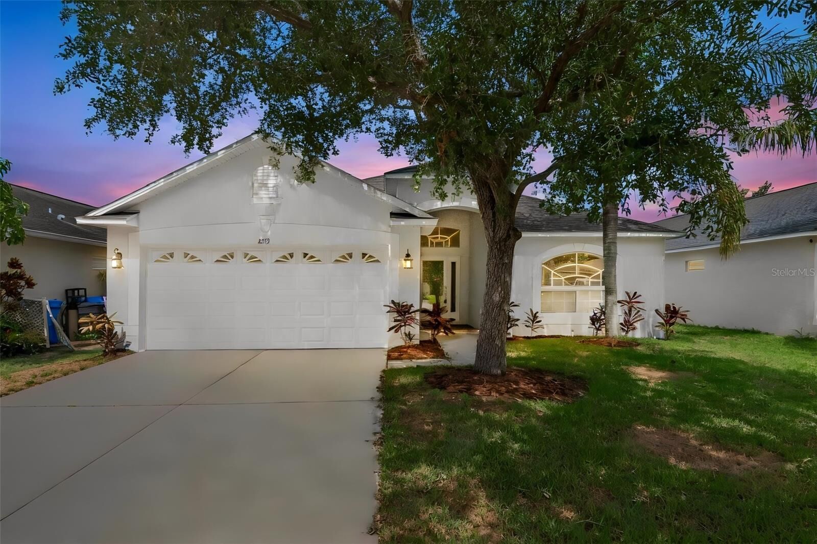 Property Photo:  2313 Lawrence Hall Street  FL 33570 