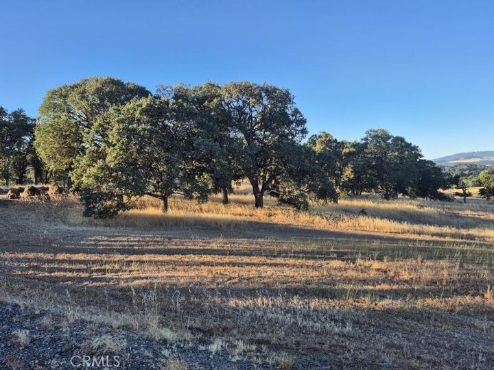 Property Photo: 2225 Park Boulevard CA 95422