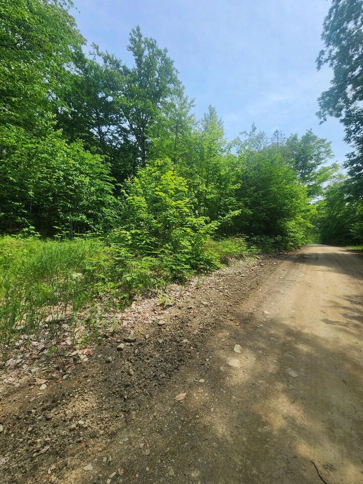 Property Photo:  Lot #44 Mill Hill Road  ME 04487 