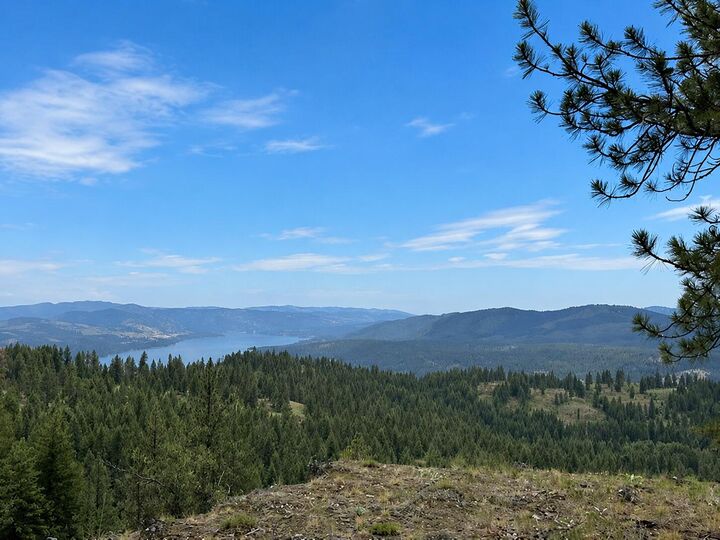 Property Photo: 4xx #L Morning Star Ln WA 99138