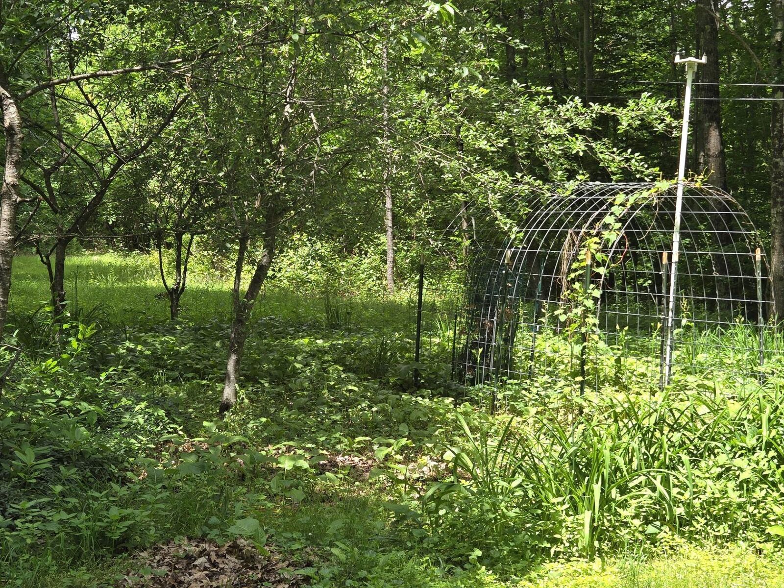 Property Photo: 208 Nh Route 3A NH 03243