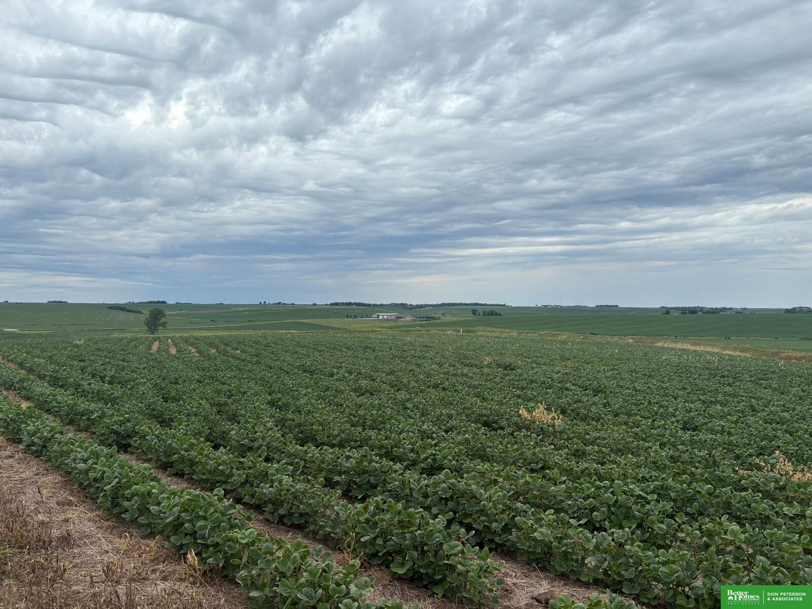 Property Photo:  81 Acres County Line Road  NE 68031 