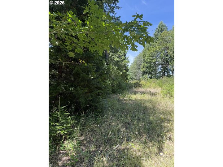 Property Photo: 0 Milky Way Dr OR 97435