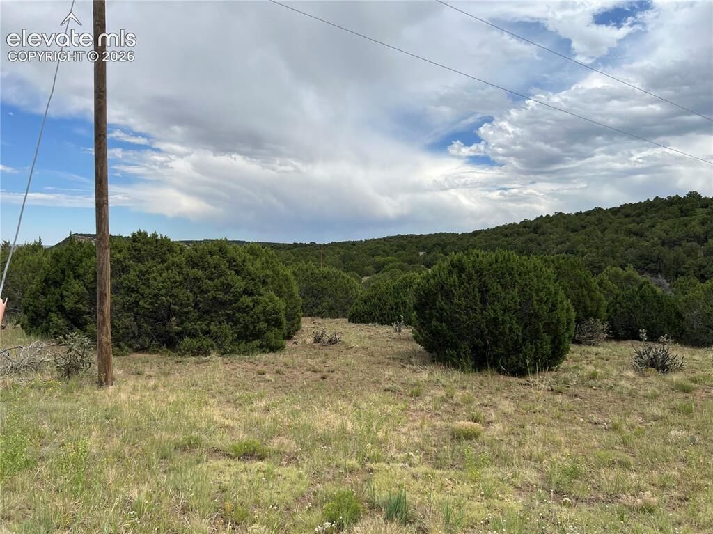 Property Photo:  Sunrise Road  CO 81089 