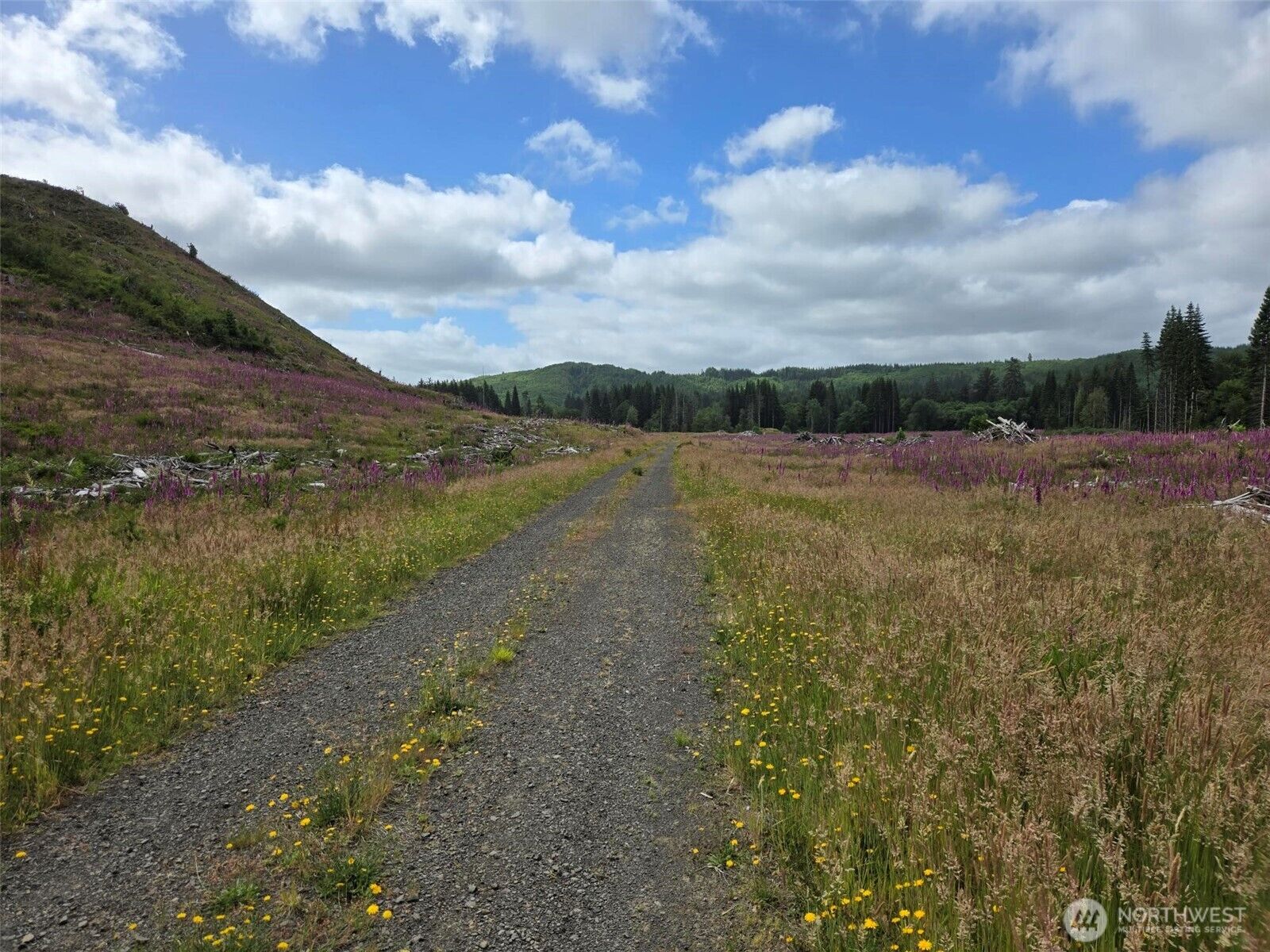 Property Photo:  0 Off Of  North River Road  WA 98537 
