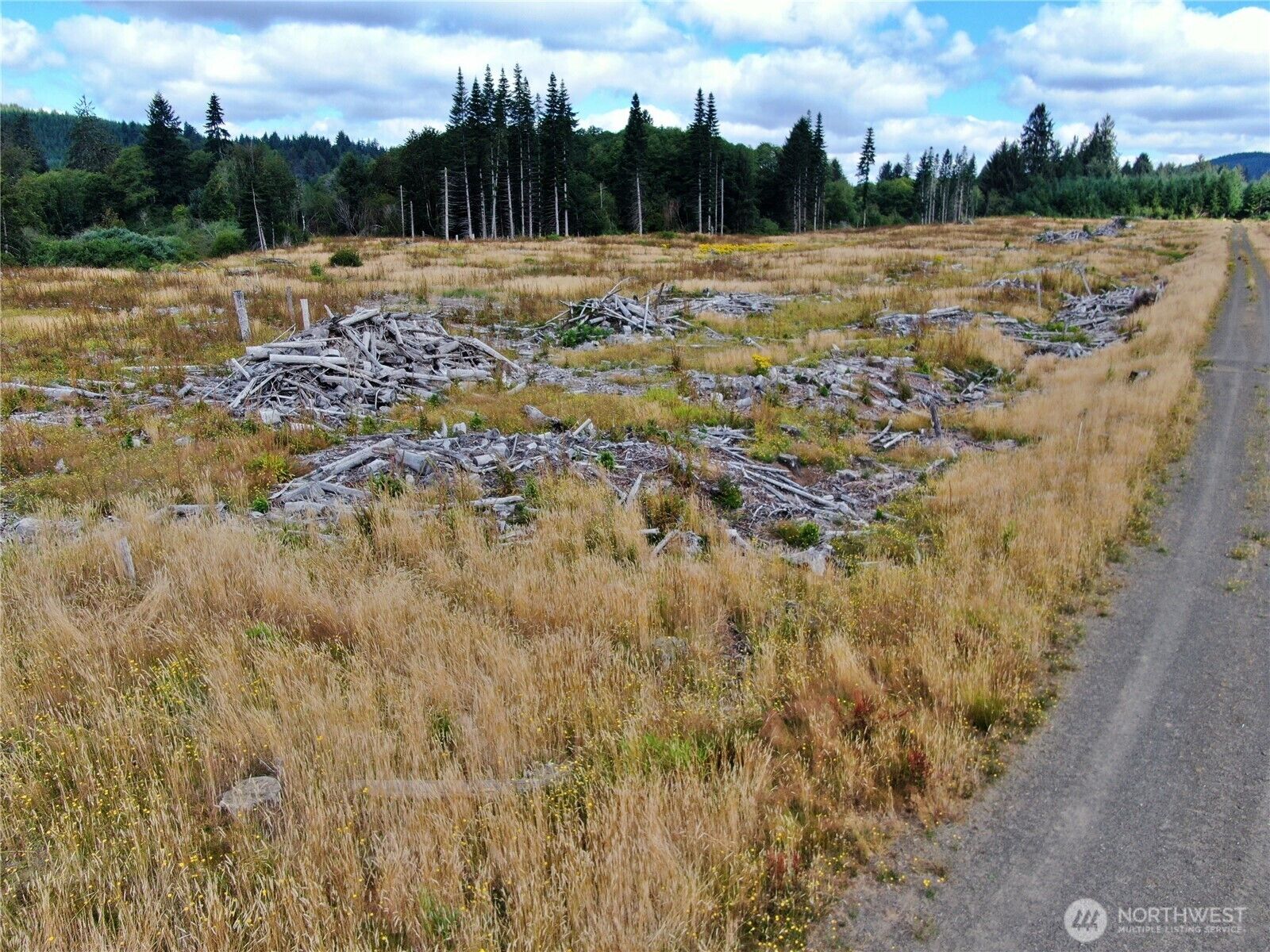 Property Photo:  0 Off Of  North River Road  WA 98537 