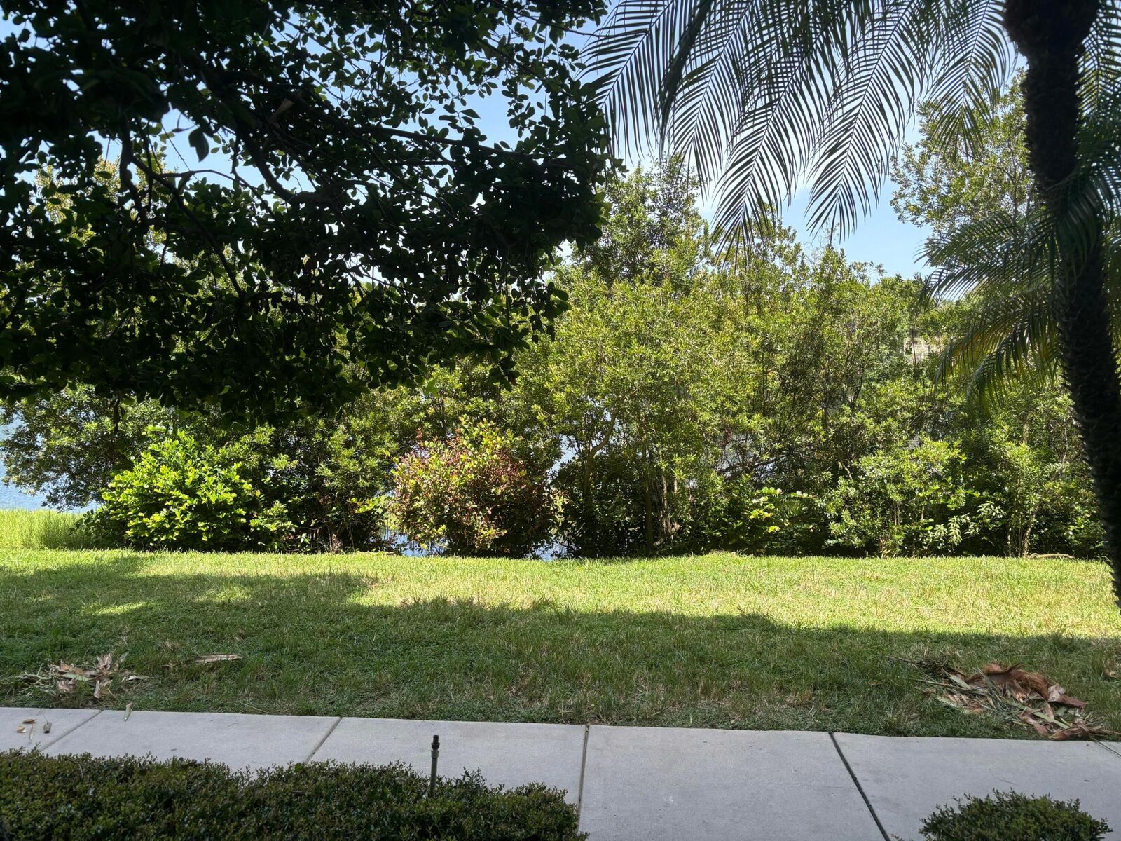 Property Photo:  1660 Renaissance Commons Boulevard 2111  FL 33426 