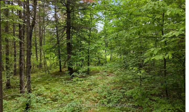 Lot 16 Echo Lake Road — photo 1