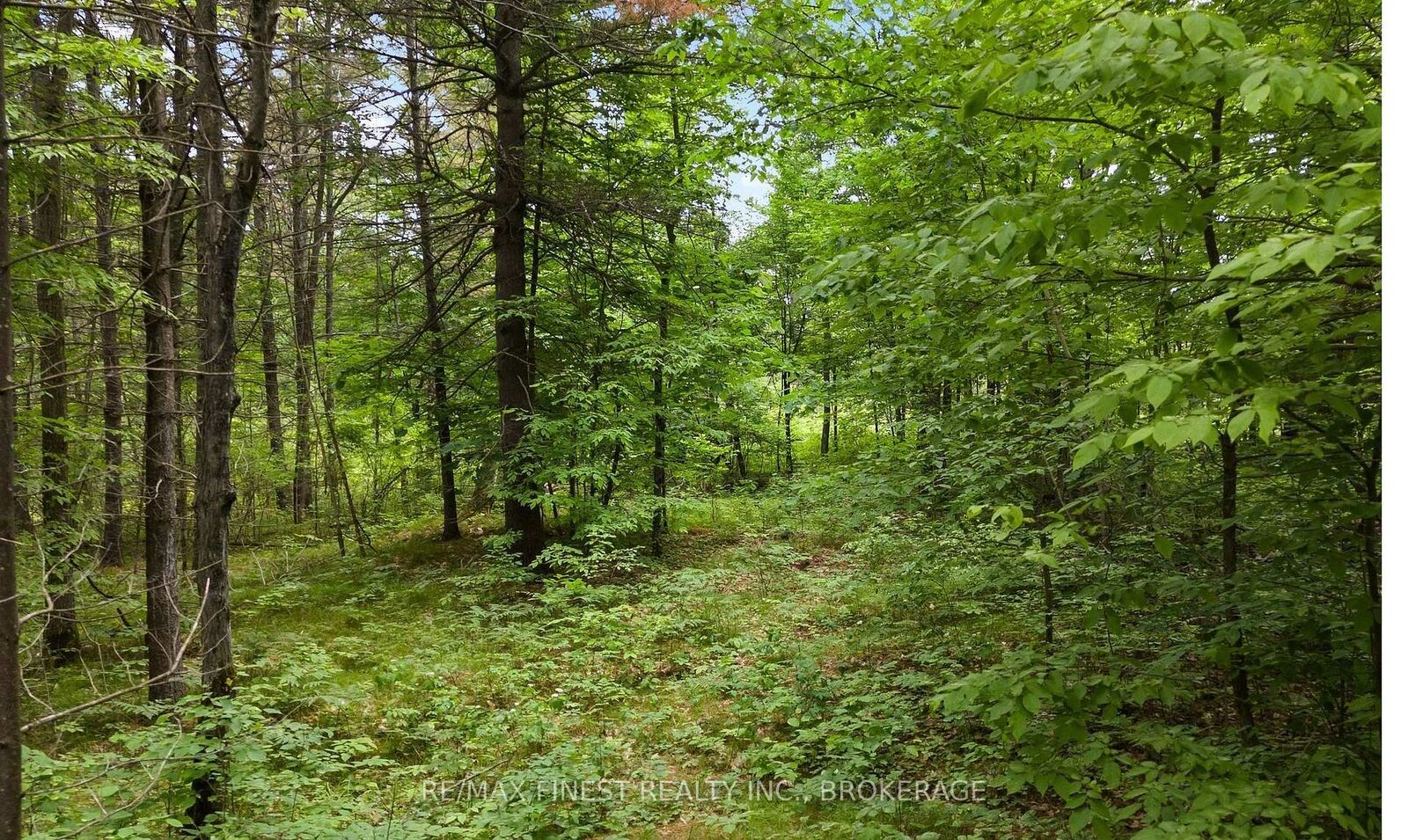 Property Photo:  Lot 16 Echo Lake Road  ON K0H 2K0 