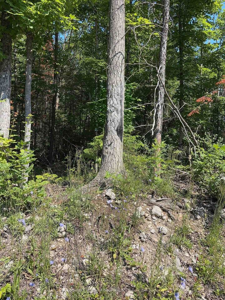 Lot 30 White Valley Road — photo 1