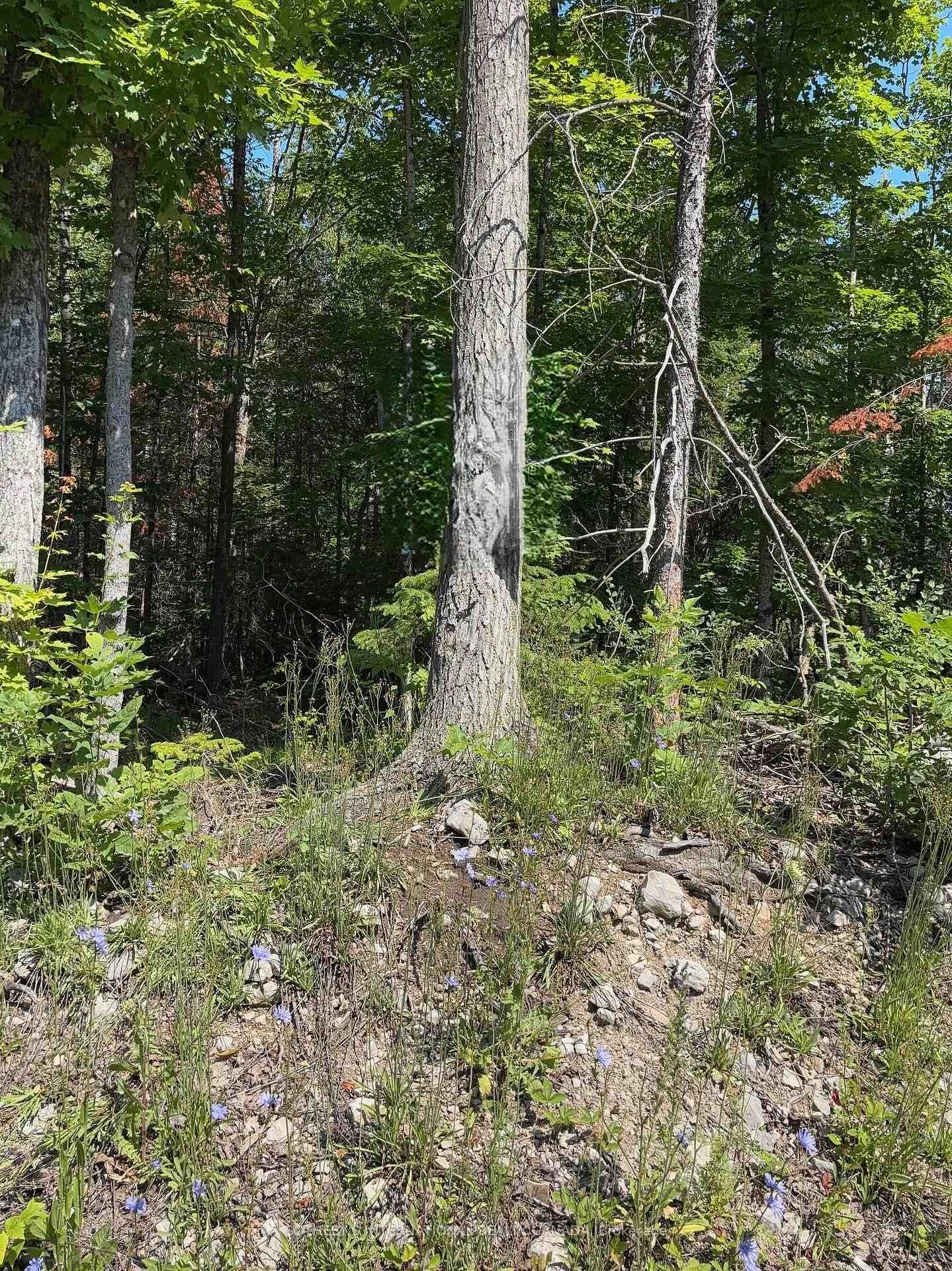 Property Photo:  Lot 30 White Valley Road  ON K0M 1A0 