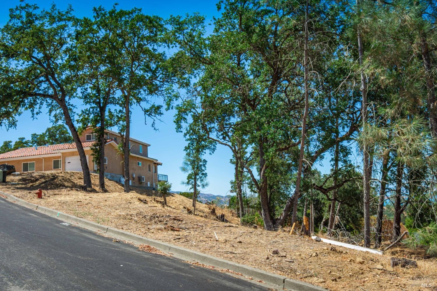 Property Photo: 1009 Westridge Drive CA 94558
