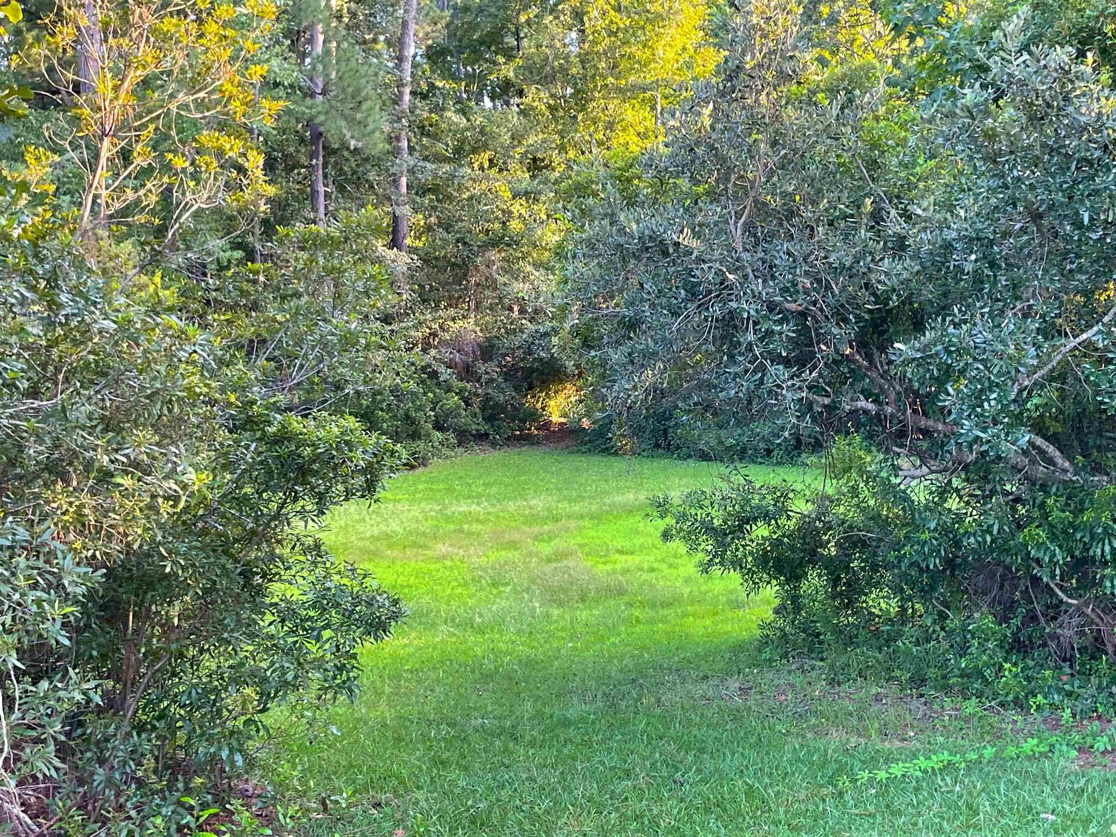 Property Photo:  500 Spauldingwood Rd.  SC 29566 