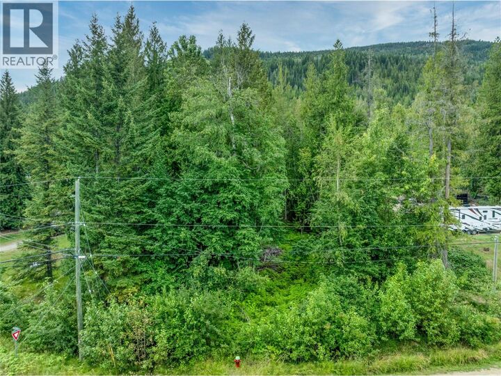 Property Photo:  Mountain Drive  BC V0E 1M8 