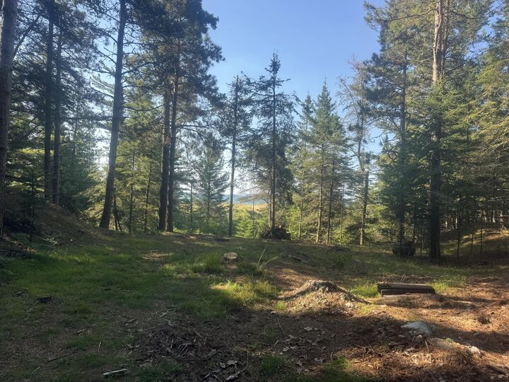 Property Photo: 3353 W Michibay Dr MI 49840
