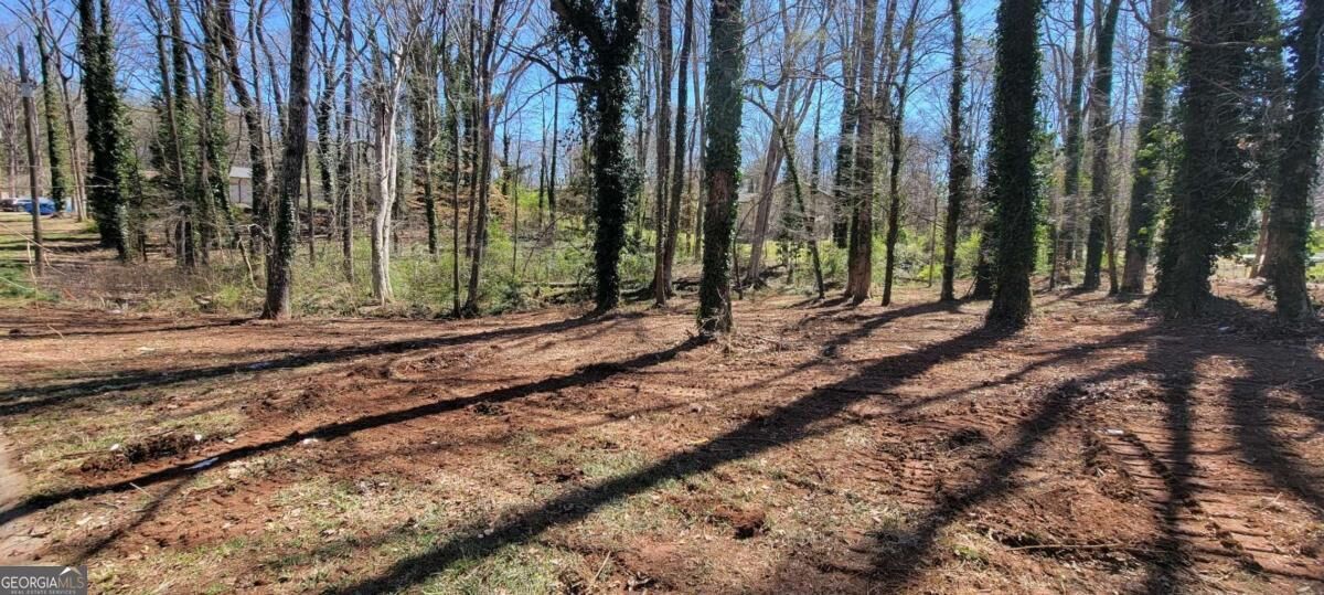 Property Photo: 6157 Cardinal Way GA 30135