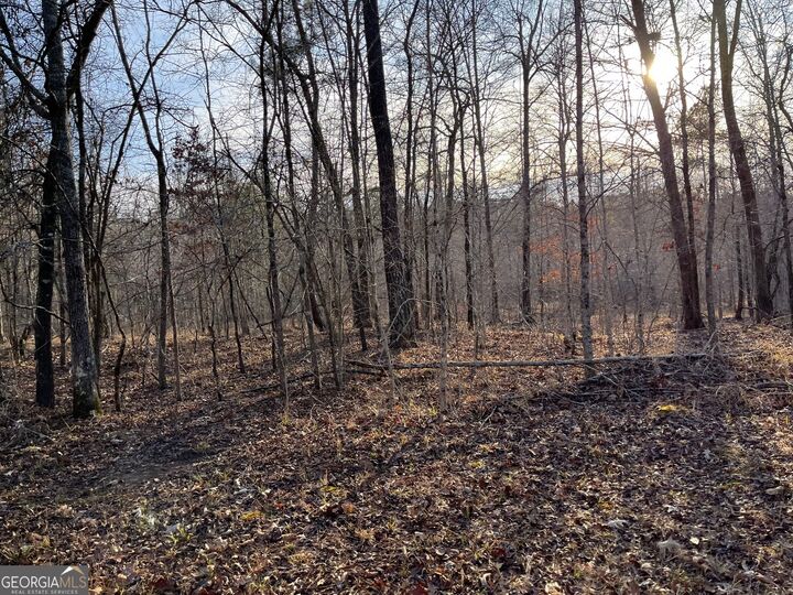Property Photo:  0 Ellis Church Road  GA 31033 