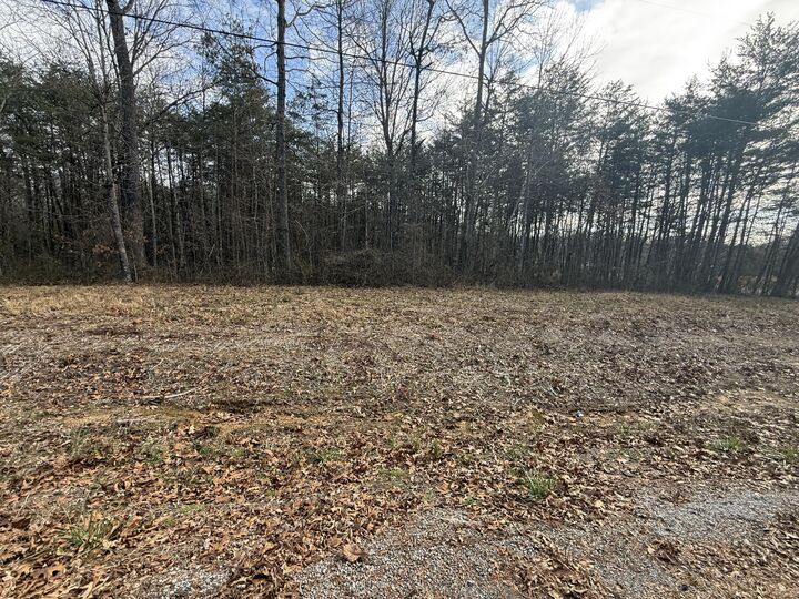 Property Photo: 01 County Road AL 35958