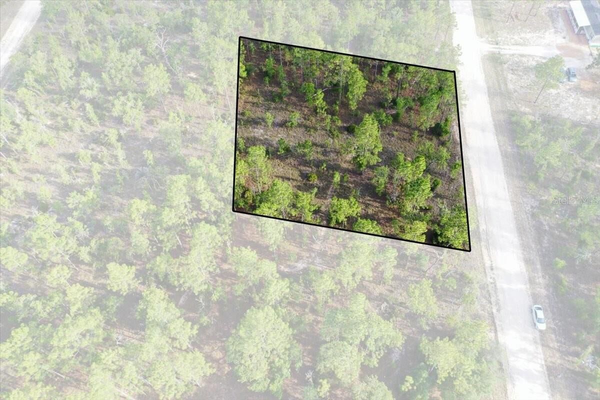 Property Photo: 0000 NE 131 Lot 8 Terrace FL 32696