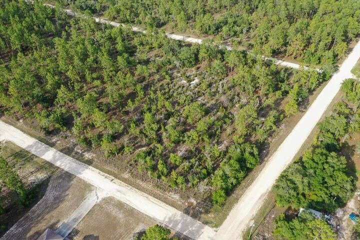 Property Photo: 0000 NE 131 Terrace Lot 6 Terrace FL 32696