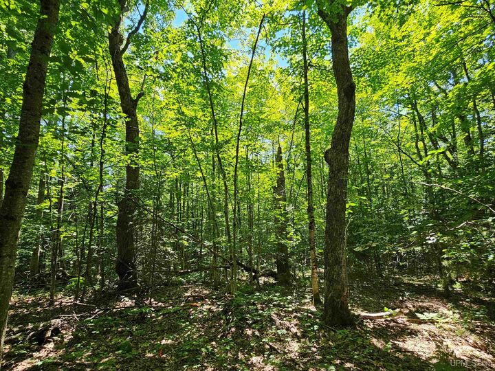 Property Photo:  Tbd Parcel M14 Applewood Drive  MI 49931 