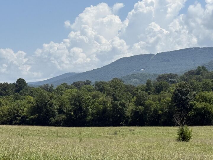 Property Photo: 0 Howard Beavert Road TN 37367