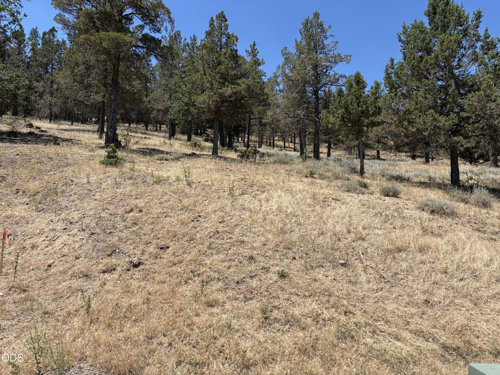 Property Photo:  0 Murrelet Road Lot 1139  OR 97601 