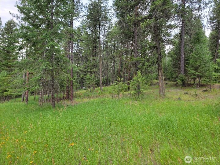 Property Photo: 40 Evergreen Drive WA 99118