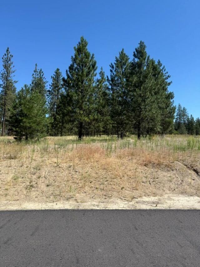 Property Photo: Lot 16 Long Lake Estates Est WA 99026