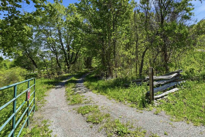 Property Photo: 4176 County Road 8 N/A ON K0K 2T0